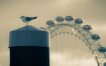 Photo en couleur de Marilg : une sterne sur la grande roue, Londres