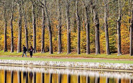 Photo en couleur de Marilg : balade le long du canal, Vaux-le-Vicomte